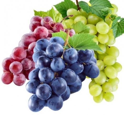 Weintraube Aroma Zucker 100/200/500g Weintraube Aroma Zucker 100/200/500g