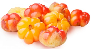 Skandinavische Früchte Aroma Zucker 100/200/500g