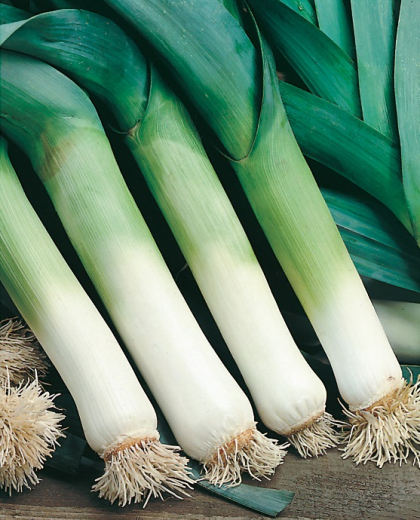 Lauch Aroma Zucker 1 Kg Lauch Aroma Zucker 1 Kg