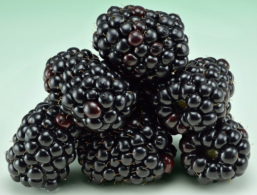 Brombeere Aroma Zucker 1 Kg Brombeere Aroma Zucker 1 Kg