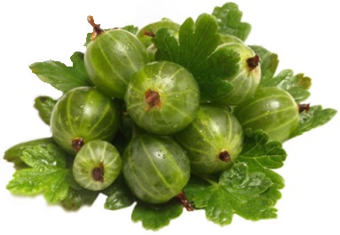 Stachelbeere Aroma Zucker 2/3/5/7 Kg