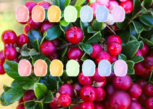 Preiselbeere Aroma Zuckerwatte im Eimer 45g/70g/100g