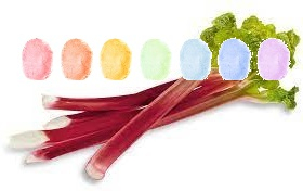 Rhabarber Aroma Zuckerwatte im Eimer 45g/70g/100g Rhabarber Aroma Zuckerwatte im Eimer 45g/70g/100g