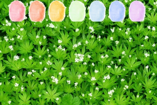 Waldmeister Aroma Zuckerwatte im Eimer 45g/70g/100g Waldmeister Aroma Zuckerwatte im Eimer 45g/70g/100g