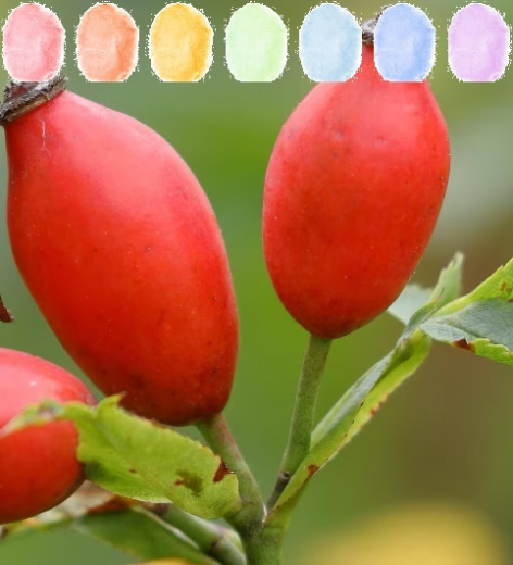 Hagebutte Aroma Zuckerwatte im Eimer 45g/70g/100g