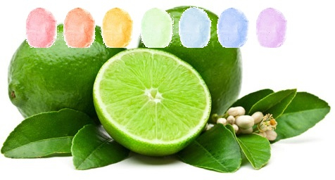 Limette Aroma Zuckerwatte im Eimer 45g/70g/100g Limette Aroma Zuckerwatte im Eimer 45g/70g/100g