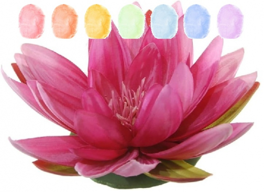 Lotusblume Aroma Zuckerwatte im Eimer 45g/70g/100g