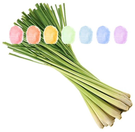 Lemongras Aroma Zuckerwatte im Eimer 45g/70g/100g Lemongras Aroma Zuckerwatte im Eimer 45g/70g/100g