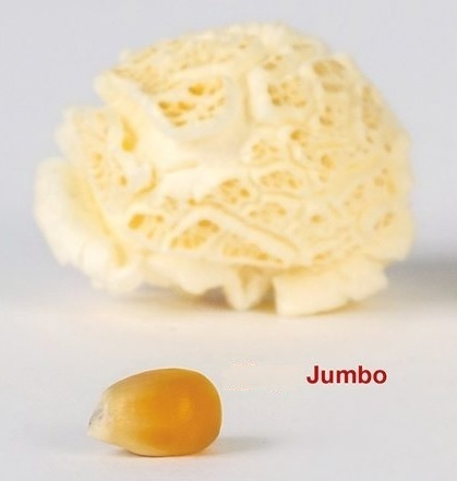 Jumbo - Pop´N Roll Mais 0,1 Kg Jumbo - Pop´N Roll Mais 0,1 Kg