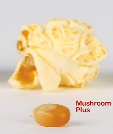 Mushroom Plus Mais 0,3 Kg Mushroom Plus Mais 0,3 Kg
