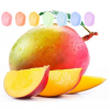 Mango Aroma Zuckerwatte im Eimer 45g/70g/100g