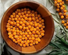 Sea Buckthorn Flavor Sugar 100/200/500g Sea Buckthorn Flavor Sugar 100/200/500g