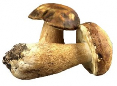 Boletus Flavor Sugar 100/200/500g Boletus Flavor Sugar 100/200/500g