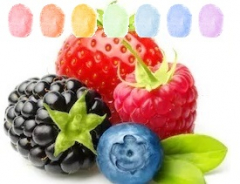 Waldfrucht Aroma Zuckerwatte im Eimer 45g/70g/100g