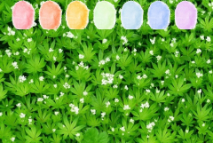 Waldmeister Aroma Zuckerwatte im Eimer 45g/70g/100g