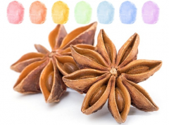 Anis Aroma Zuckerwatte im Eimer 45g/70g/100g