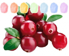 Cranberry Aroma Zuckerwatte im Eimer 45g/70g/100g