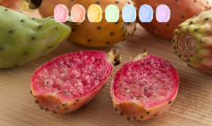 Kaktusfeige Aroma Zuckerwatte im Eimer 45g/70g/100g